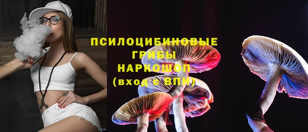индика Белоозёрский