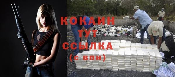 индика Белоозёрский